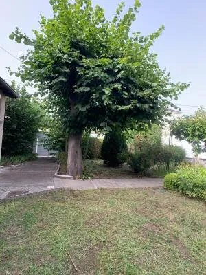 Maison à Périgueux — vignette 13