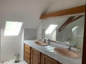 Maison à Martizay — vignette 9
