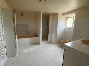 Maison à Martizay — vignette 11