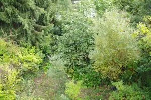 Maison à Coulounieix-Chamiers — vignette 17