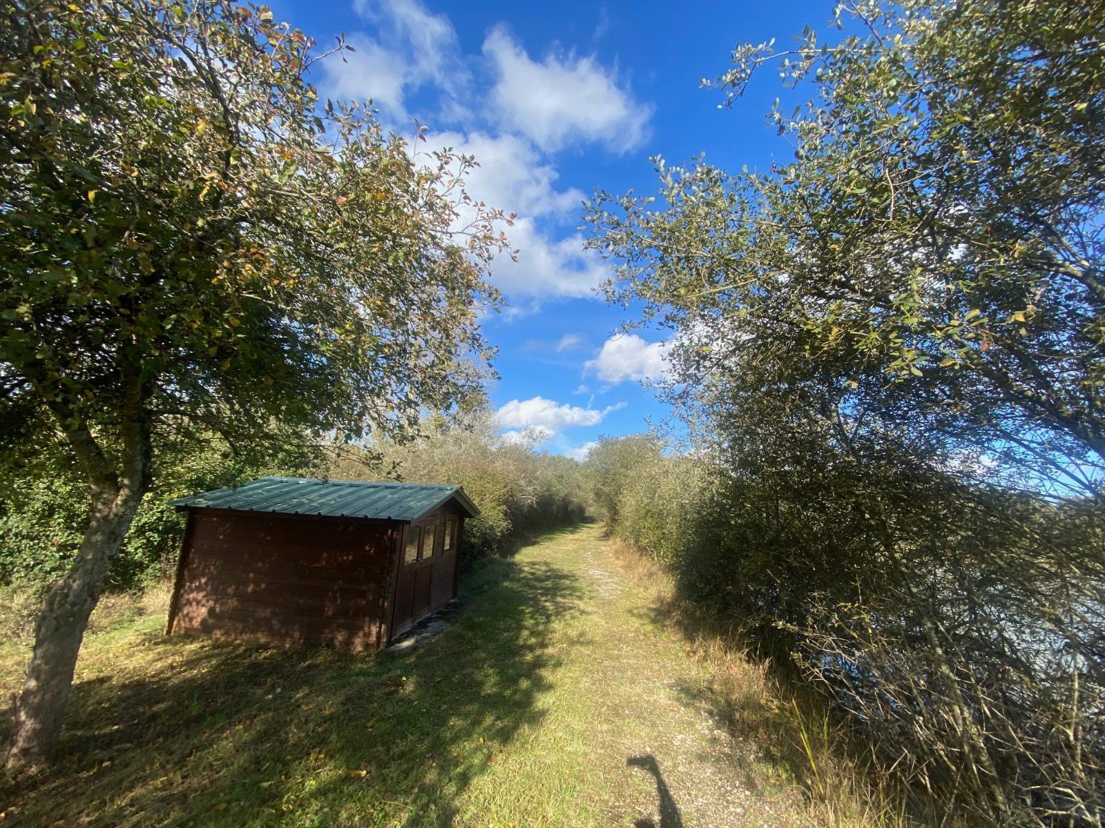 Terrain de Loisirs – Bois - Étang à Neung-sur-Beuvron — vignette 10