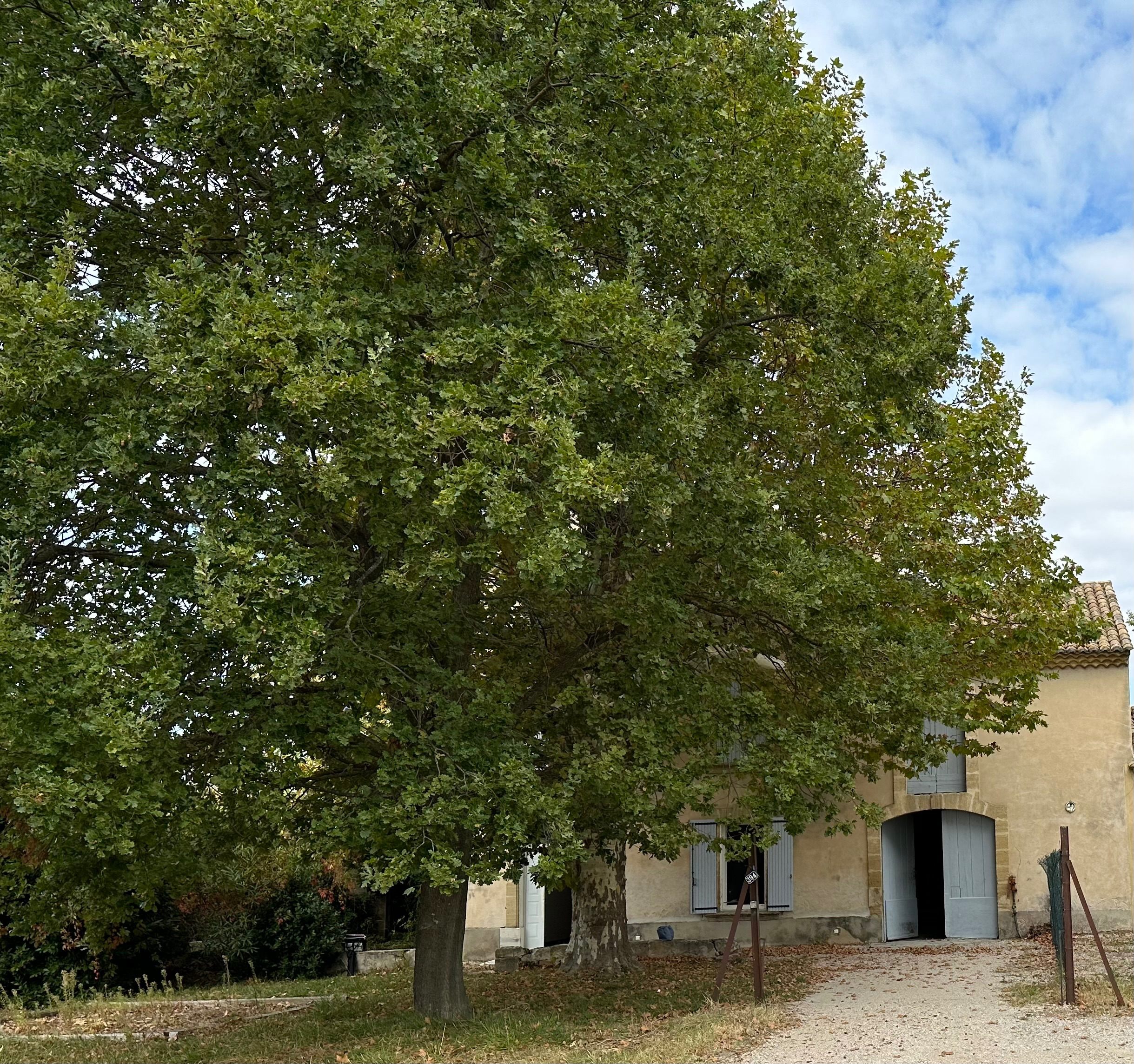 Maison à Jonquières — vignette 4