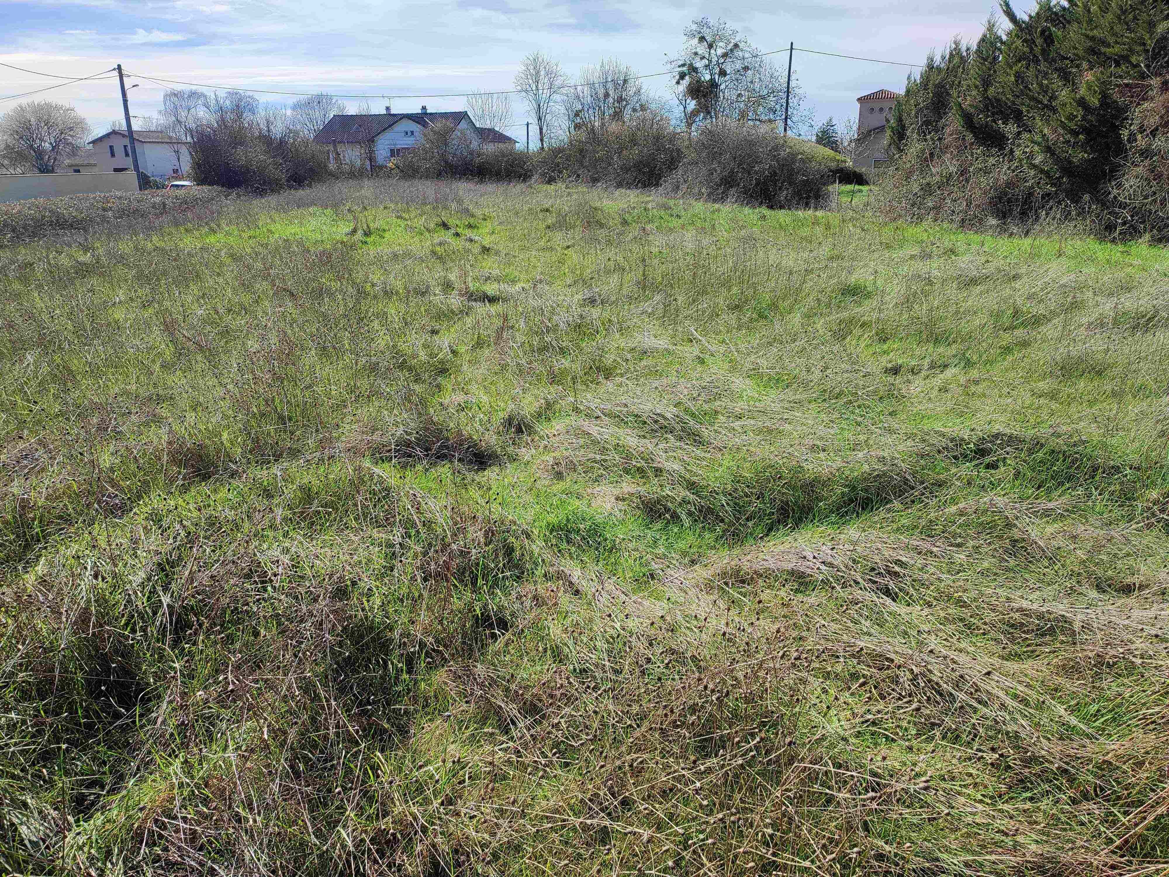 Terrain à Bâtir à L'Isle-Jourdain — vignette 4