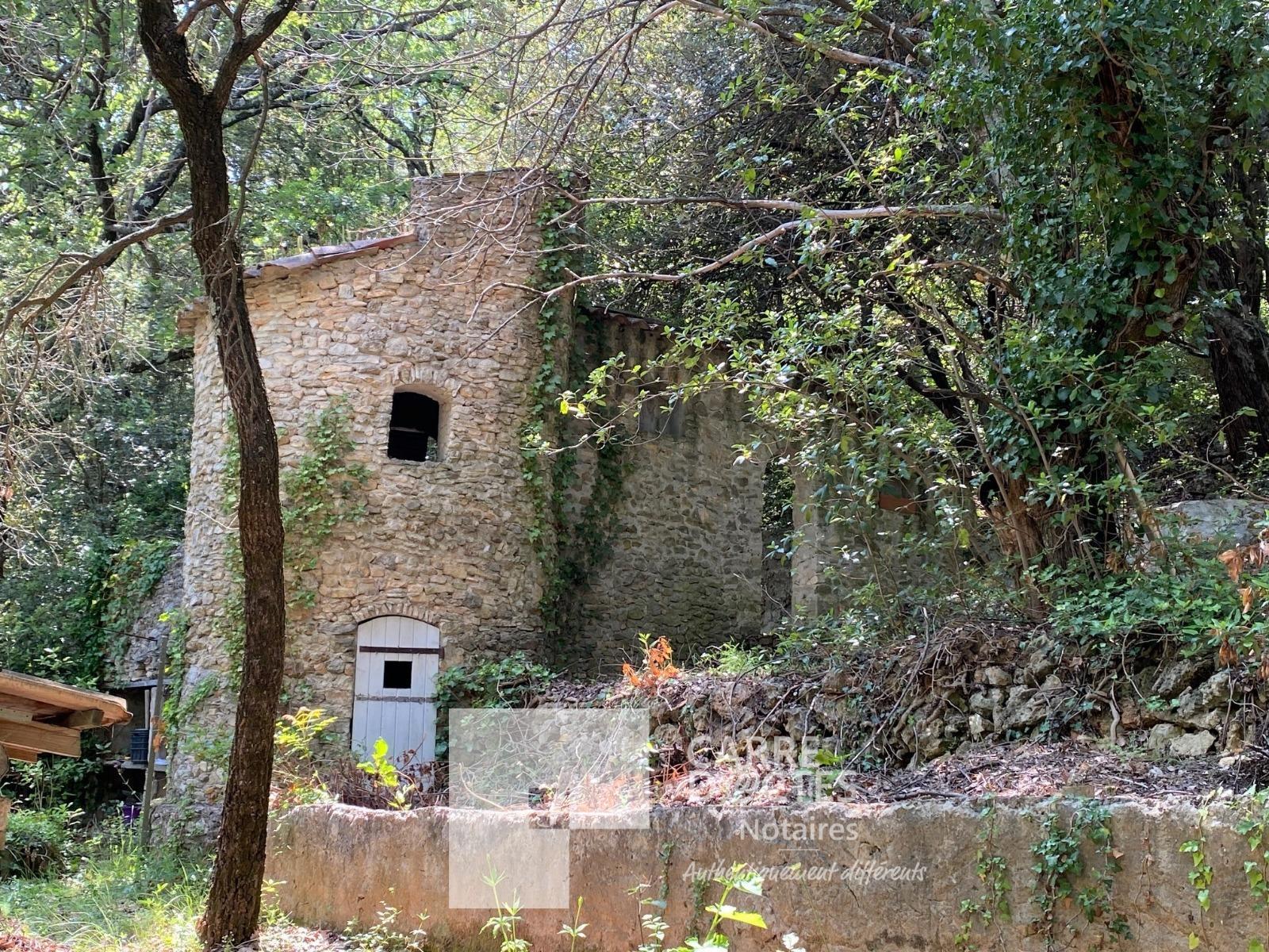 Maison à La Roquebrussanne — vignette 2