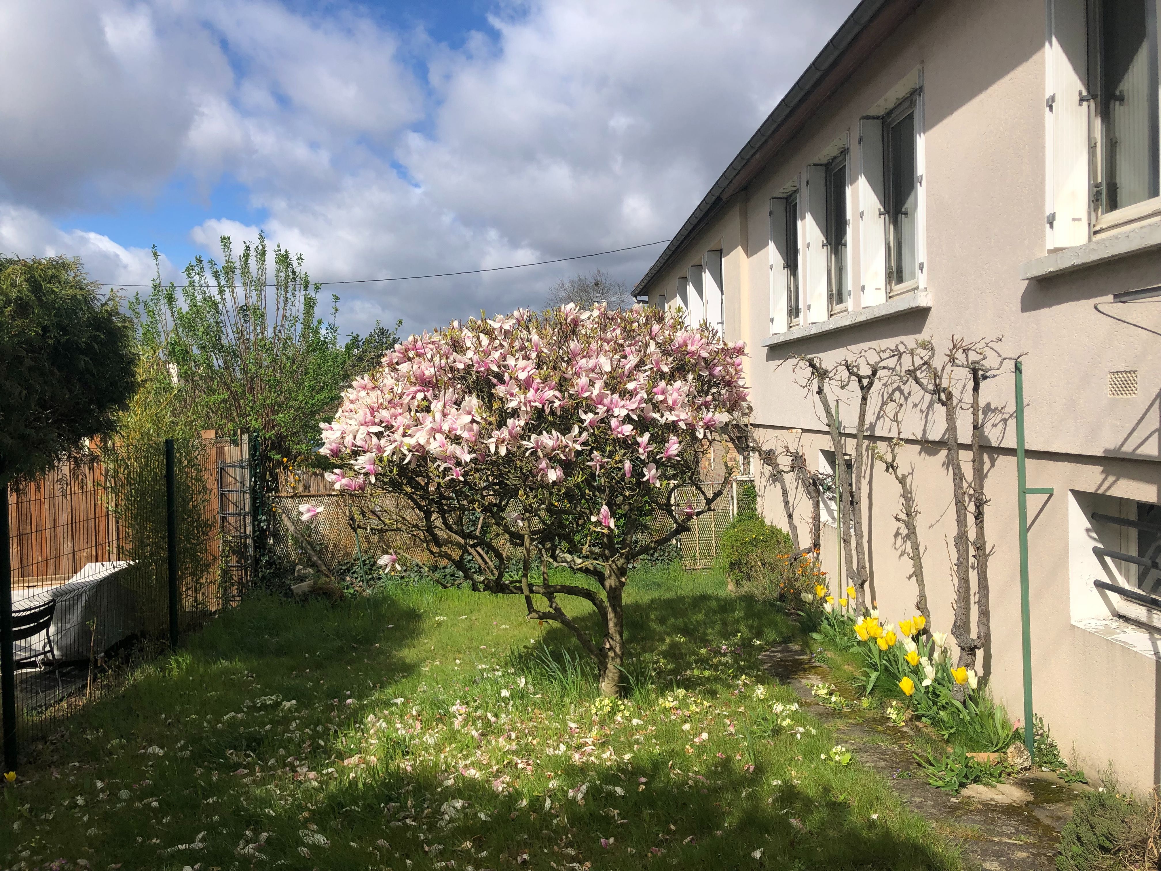Maison 4 pièces jardin et sous-sol