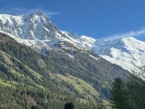 Appartement à Chamonix-Mont-Blanc — vignette 13