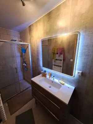 Appartement à La Planée — vignette 2