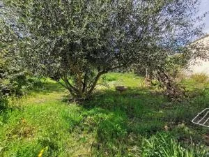 Maison à Miramas — vignette 3