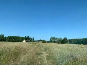Propriété à Azay-le-Ferron — vignette 3