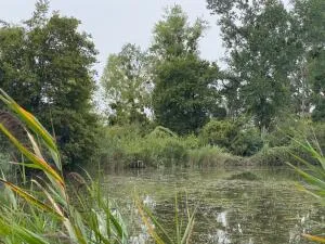Propriété à Azay-le-Ferron — vignette 4