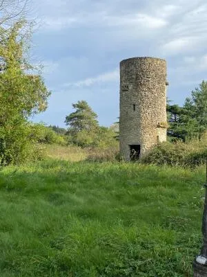 Propriété à Belforêt-en-Perche — vignette 24