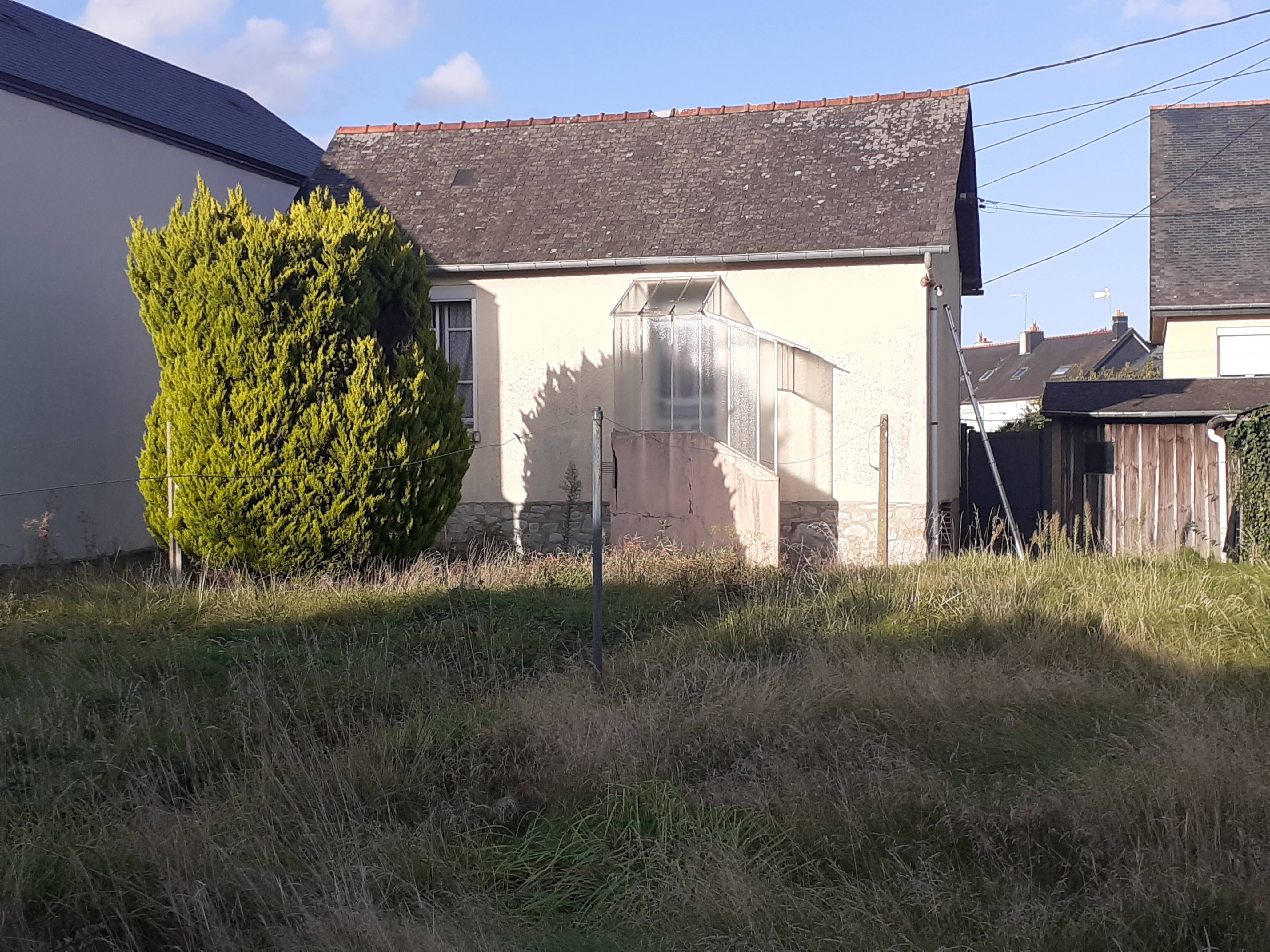 maison avec grand terrain