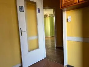 Appartement à Brive-la-Gaillarde — vignette 6