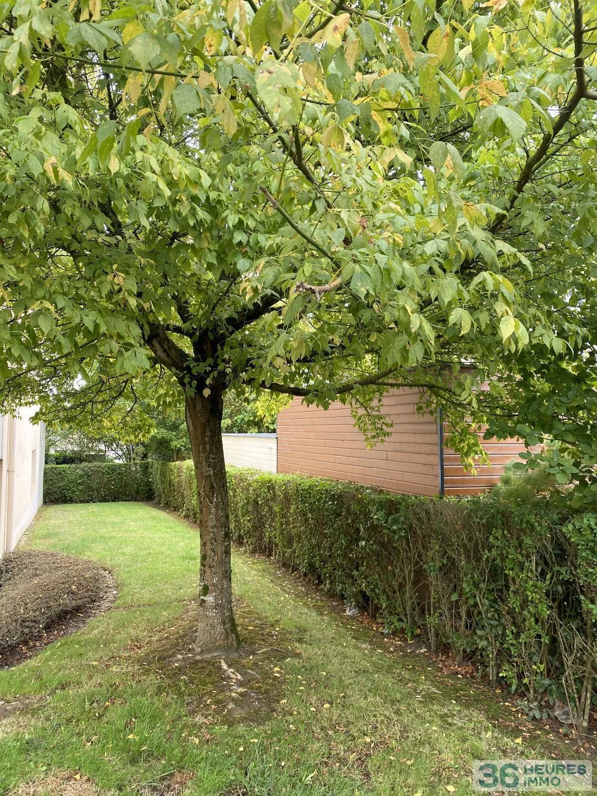 Appartement à Angers — vignette 4