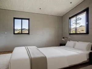 Maison à Montpellier — vignette 8