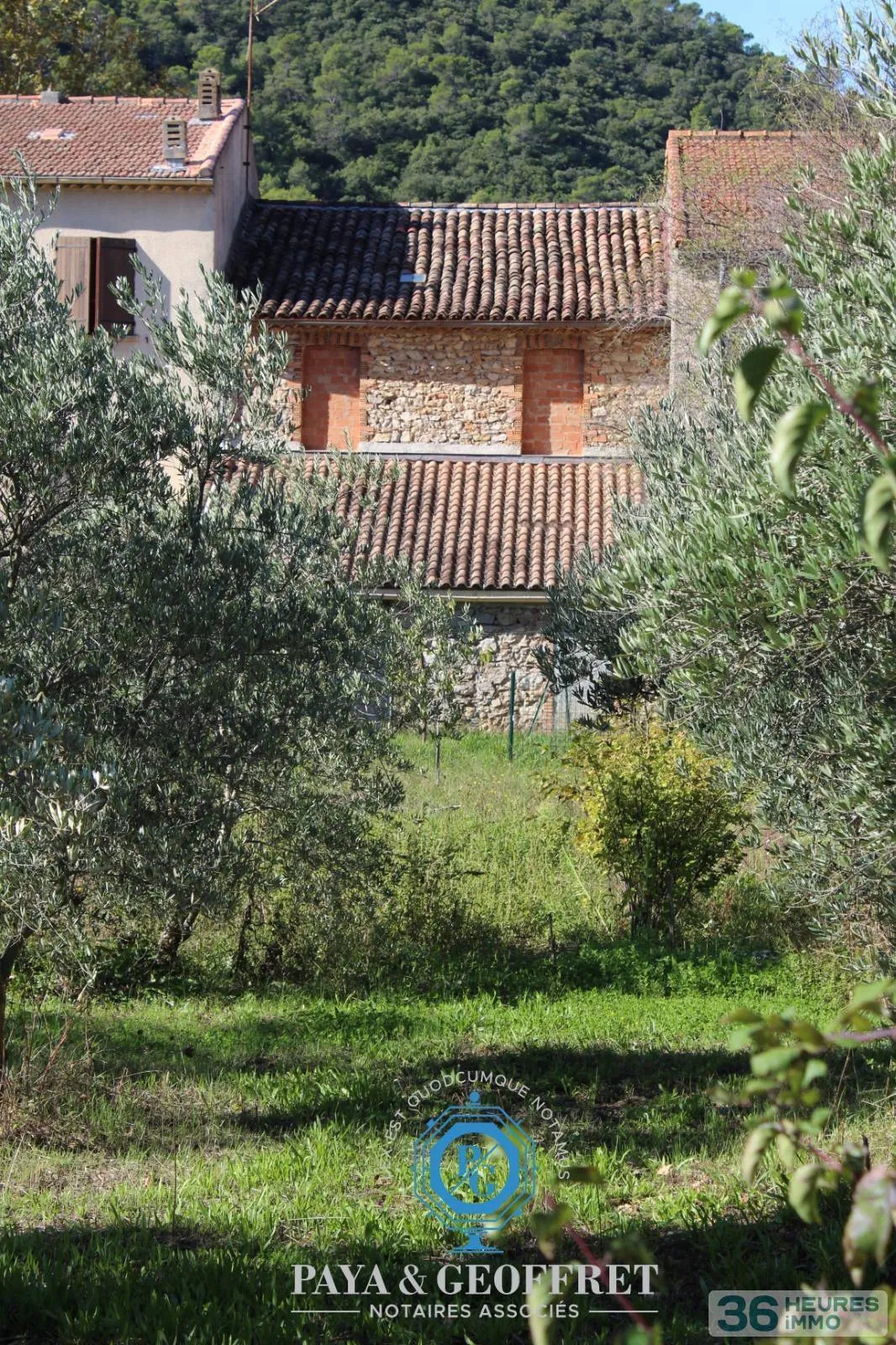 Immeuble à La Roquebrussanne — vignette 2