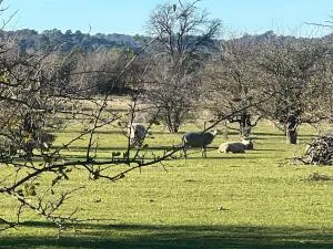 Maison à Badens — vignette 27