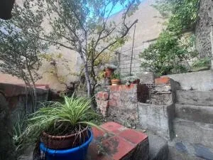 Maison à Port-Vendres — vignette 12