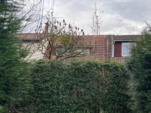 Maison à Leers — vignette 5