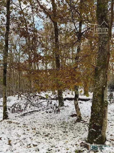 Terrain de Loisirs – Bois - Étang à Saint-Germain-de-Modéon — vignette 2