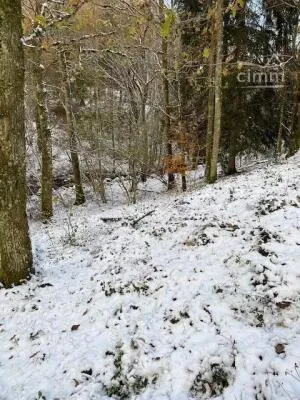 Terrain de Loisirs – Bois - Étang à Saint-Germain-de-Modéon — vignette 3