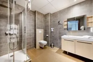 Appartement à Ferney-Voltaire — vignette 6