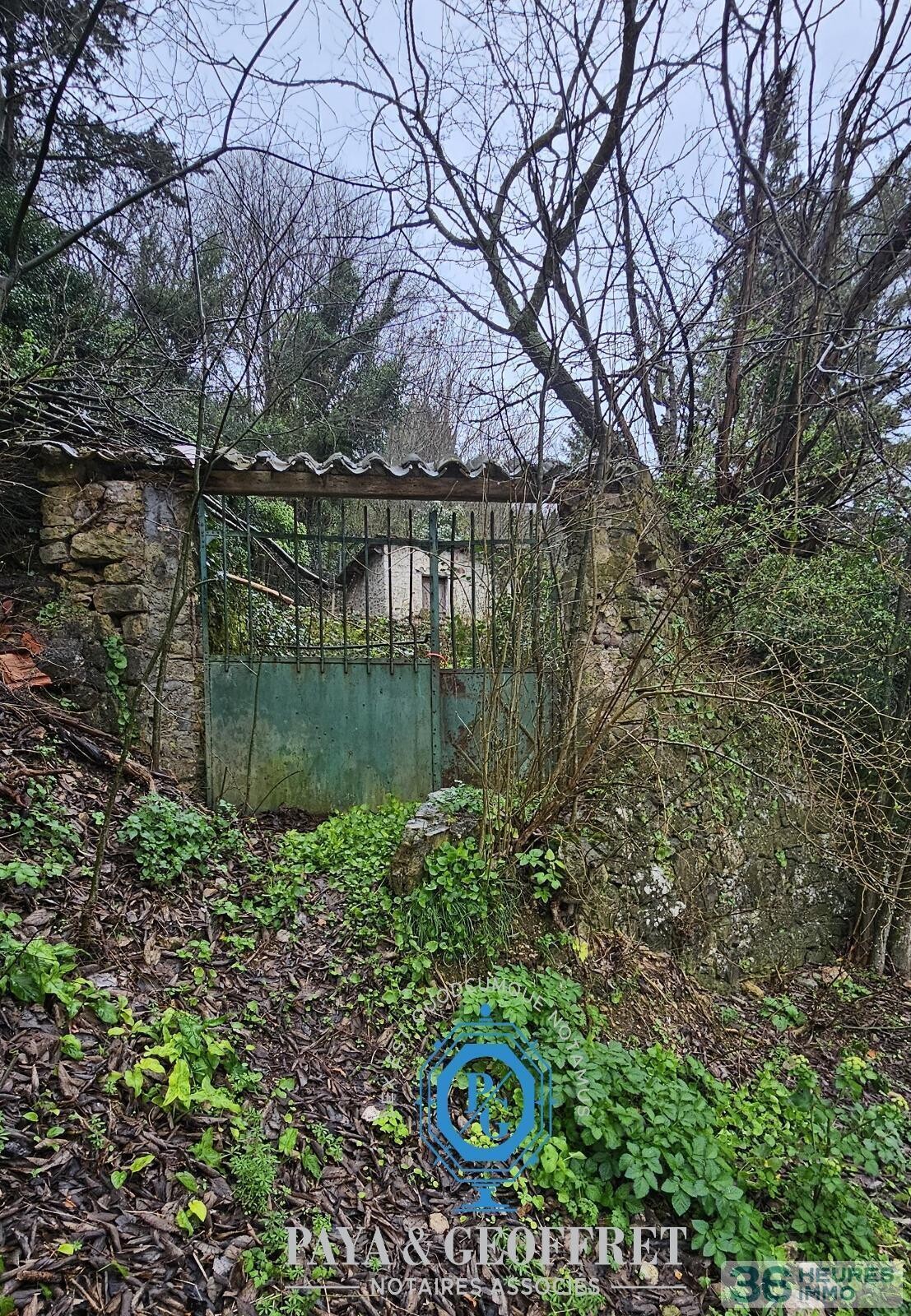 Divers à Le Luc — vignette 7