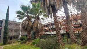 Appartement T2 spécial investisseur