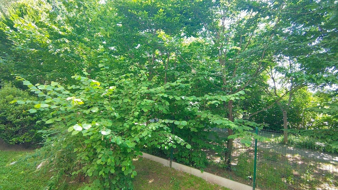 Appartement à Toulouse — vignette 17