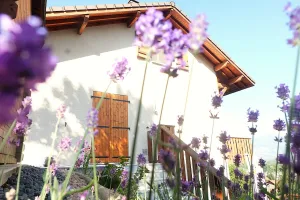 Maison à Passy — vignette 4