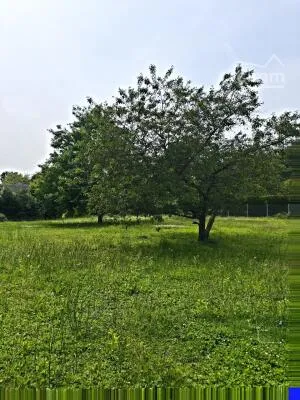 Maison à Précy-sous-Thil — vignette 4
