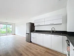 Appartement à Haguenau — vignette 4