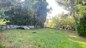 Parcelle de terrain en campagne