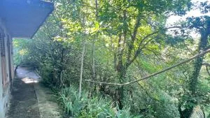 Terrain de Loisirs – Bois - Étang à Les Abrets en Dauphiné — vignette 7