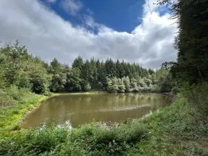 Terrain de Loisirs – Bois - Étang à Le Ménil-de-Briouze — vignette 4