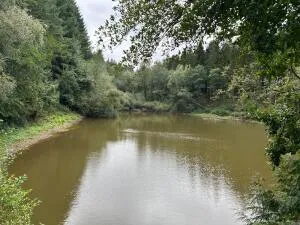 Terrain de Loisirs – Bois - Étang à Le Ménil-de-Briouze — vignette 5