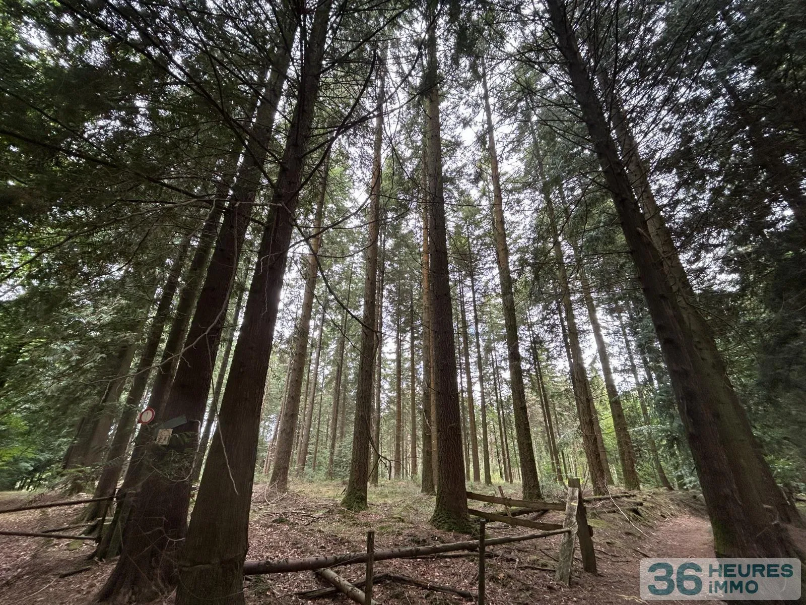 Terrain de Loisirs – Bois - Étang à Le Ménil-de-Briouze — vignette 6