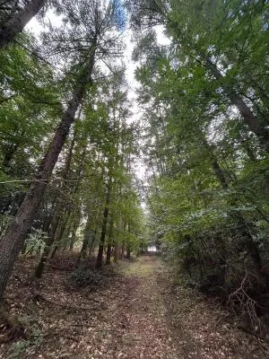 Terrain de Loisirs – Bois - Étang à Le Ménil-de-Briouze — vignette 9