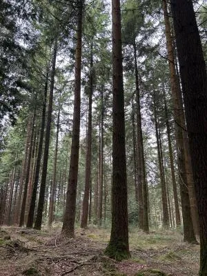 Terrain de Loisirs – Bois - Étang à Le Ménil-de-Briouze — vignette 13