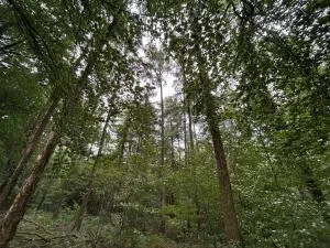Terrain de Loisirs – Bois - Étang à Le Ménil-de-Briouze — vignette 14
