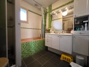 Maison à Segré-en-Anjou Bleu — vignette 43