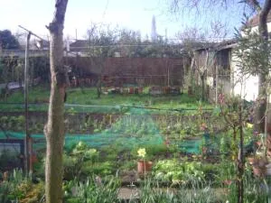 TERRAIN A BATIR AVEC MAISON A RENOVER OU RASER A PESSAC