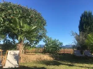 Fonds et/ou Murs Commerciaux à Chabrillan — vignette 21
