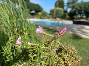 Fonds et/ou Murs Commerciaux à Chabrillan — vignette 32