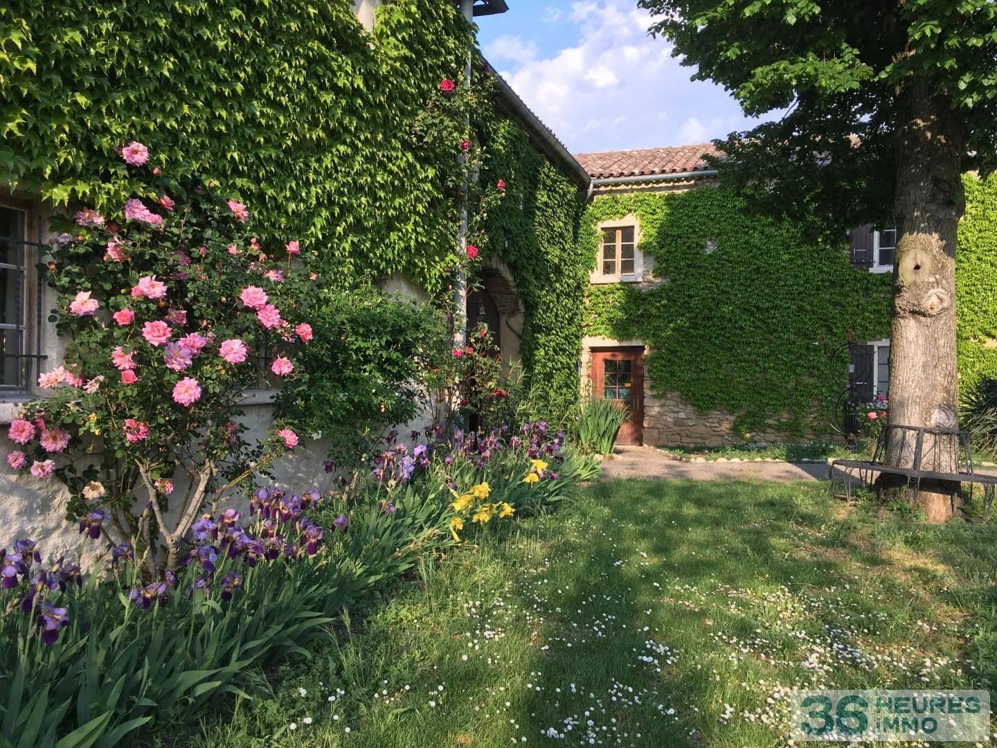 Fonds et/ou Murs Commerciaux à Chabrillan — vignette 123