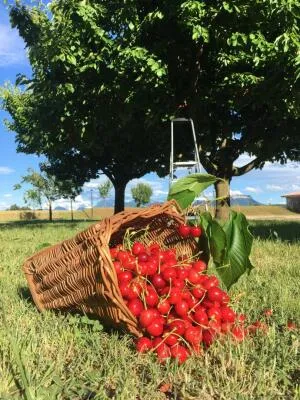 Fonds et/ou Murs Commerciaux à Chabrillan — vignette 126