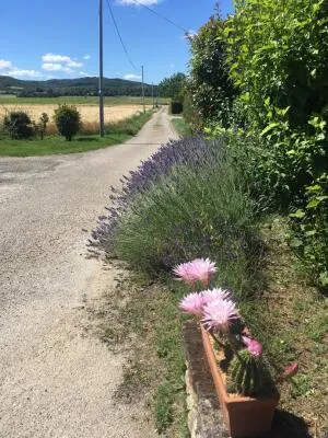 Fonds et/ou Murs Commerciaux à Chabrillan — vignette 127