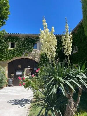 Fonds et/ou Murs Commerciaux à Chabrillan — vignette 134