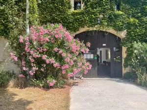 Fonds et/ou Murs Commerciaux à Chabrillan — vignette 150