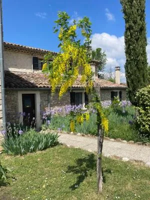 Fonds et/ou Murs Commerciaux à Chabrillan — vignette 152